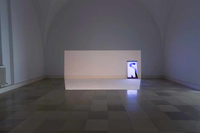 /img/Shifting-Flairs1/3-MG-9166-Kopie.jpg